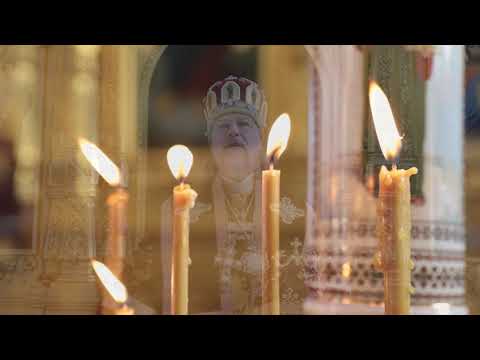 Проповедь митрополита МАРКА Неделя 5-я Великого поста День памяти прп Марии Египетской 2024 г